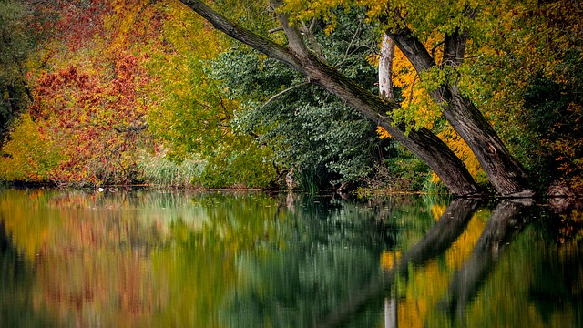 podzim u rybníka