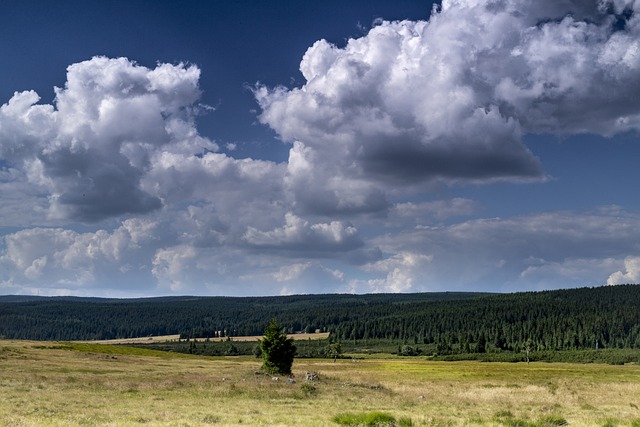 Jizerské hory